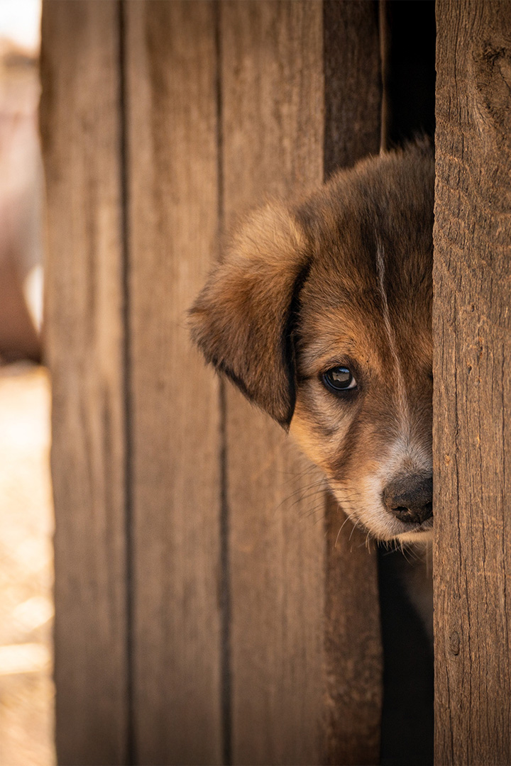 anschaffung_sliderklein03_edit